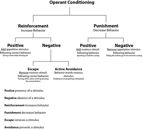 Operant Conditioning | Psynso