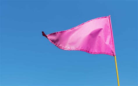 What Do Pink Flags Mean In Construction at Phyllis Daye blog