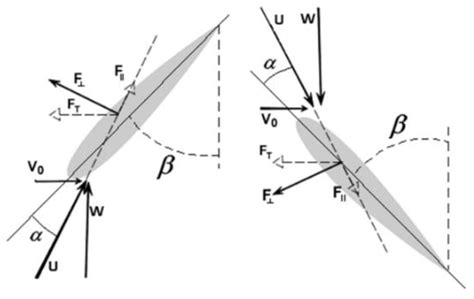 Study on Oscillatory and Undulatory Motion of Robotic Fish