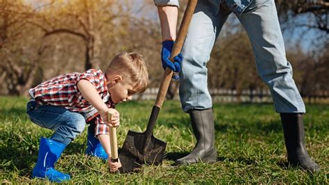 Home Digging 的图像结果