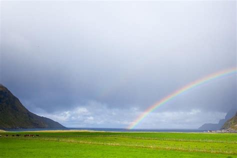 STAD RIB ADVENTURES (2026) All You Need to Know BEFORE You Go (with ...