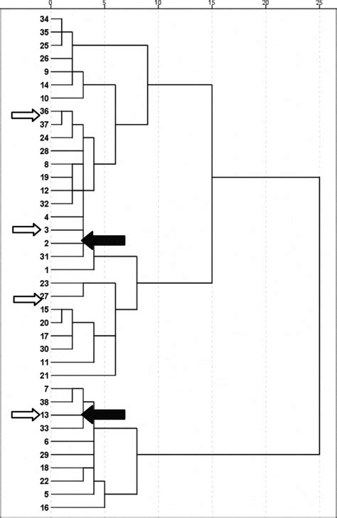 Image result for Dendrogram Excel