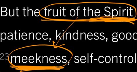 What Is Biblical Meekness? Ephesians 4:1–6, Part 9 | Desiring God