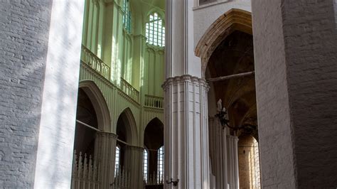 Image result for Domain Architecture Viewpoint