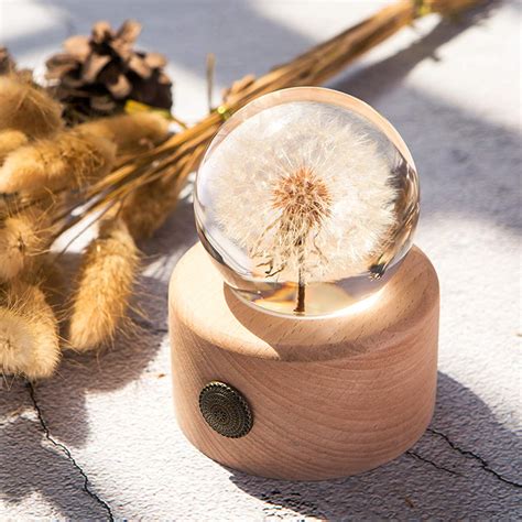 Buy Real Dandelion Specimen Ball with Wood Base Paperweight Circular ...