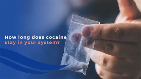 How Long Does Cocaine Stay in Your System? - DreamLife Recovery