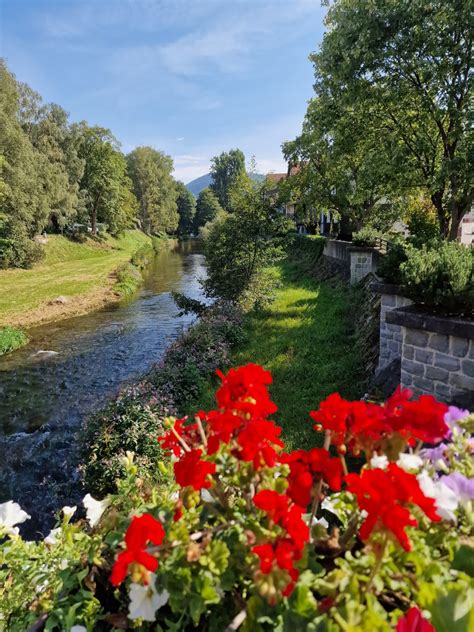 Solve german river jigsaw puzzle online with 80 pieces