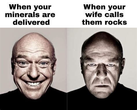 They're not rocks. They're minerals, Marie. : r/dankmemes