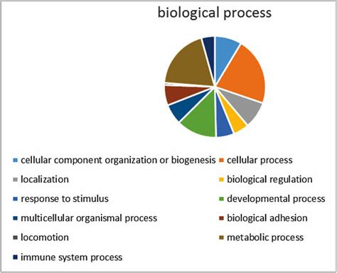 Image result for Example of Biological Process
