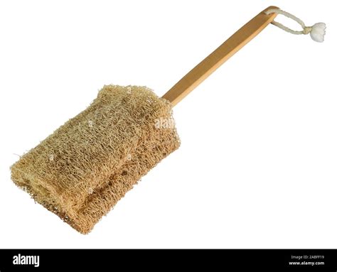 Vegetable sponge (Loofah) on a stick to bathe in the shower Stock Photo ...