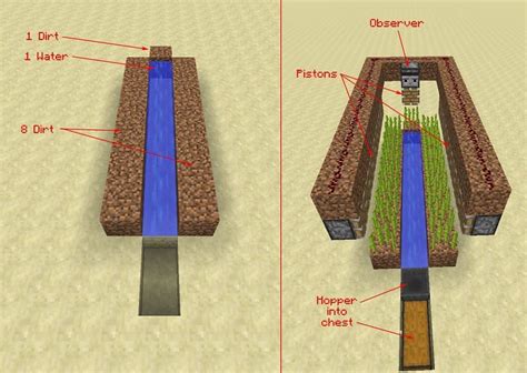 Image result for Minecraft Sugarcane Farm Tutorial