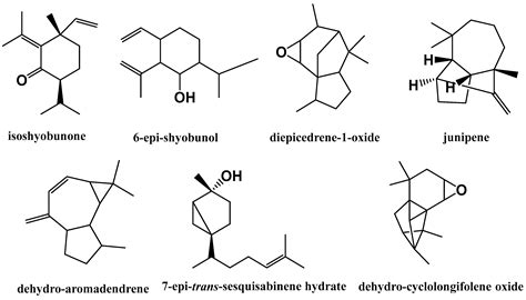 Influence of Season and Habitat on the Essential Oils Composition ...