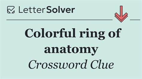 Colorful ring of anatomy Crossword Clue Answers