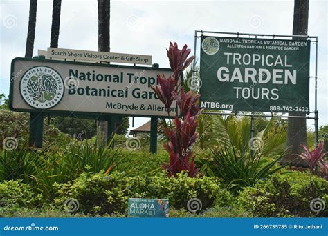 Allerton Garden - National Tropical Botanical Garden in Koloa on Kauai ...