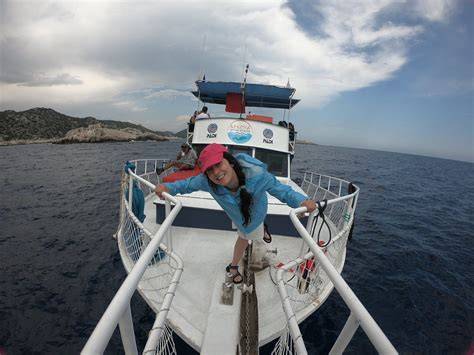 KEKOVA DIVING (2026) All You Need to Know BEFORE You Go (with Photos ...