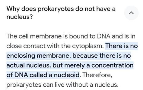 why prokaryotic cells don't have any nucleus??? homework please help ...