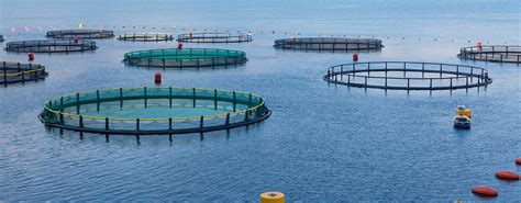 Welcome to Blue Wave