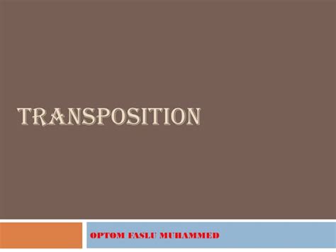 Basic Transposition 的图像结果