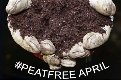 Image result for Compost Making Tutorial