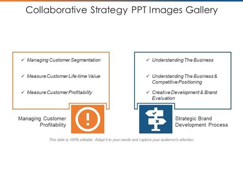 Collaborative Strategy Process 的图像结果