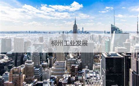 广西柳州发布蓝皮书 促进与RCEP国家经贸往来_天天基金网