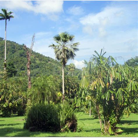 HOLYWELL PARK (2025) All You Need to Know BEFORE You Go (with Photos ...