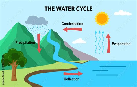 Water Cycle Model 的图像结果