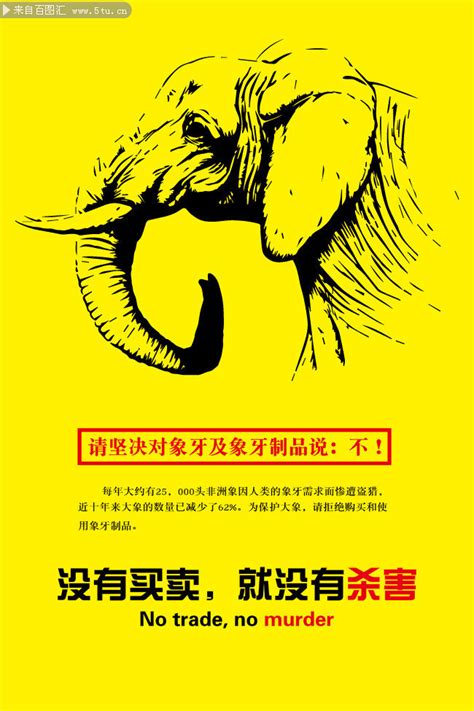 保护大象公益海报-海报DM-百图汇素材网