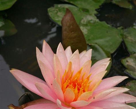 THE 30 BEST Places to Visit in Hefei (2026) - Must-See Attractions