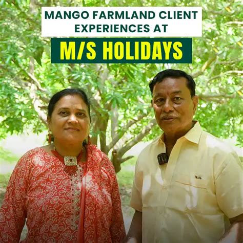 Mango Farmland Client Experiences at M/S Holidays: A Journey of Joy and ...