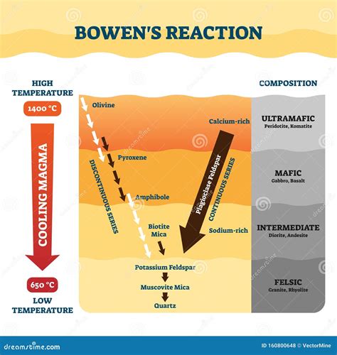 Bowens Reaction Series