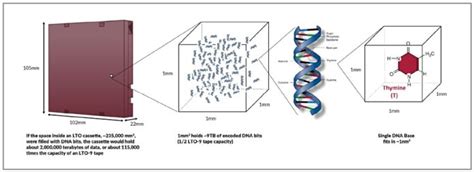 DNA Storage CodeChef Solution 的图像结果