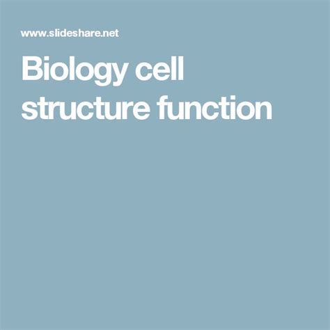 Image result for Structure and Function Biology Examples