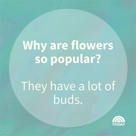 30 hilarious spring jokes for budding comedians - AOL