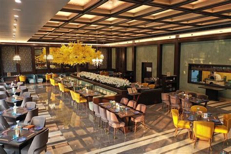 THE MANGO COURTYARD BANQUET AND RESTAURANT, Nadiad - Restaurant Reviews ...