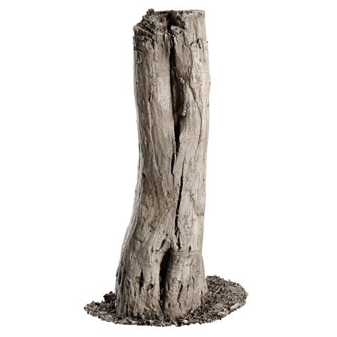 Image result for Sapling Tree Generator Download