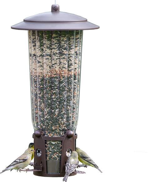 Amazon.com : Audubon Bird's Delight Squirrel Resistant Bird Feeder ...