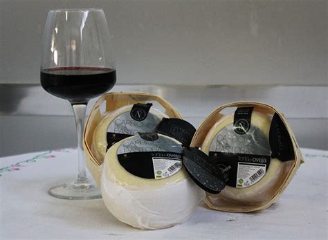 Torta de Oveja - 🏆🏆 QUESOS Manchegos Los Carvajales