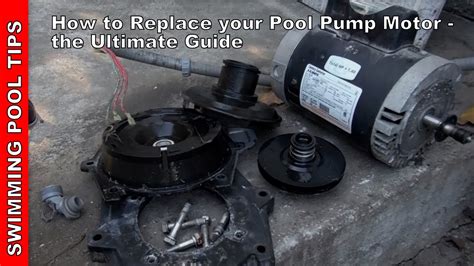 Image result for Replace Motor On Sta-Rite Pool Pump