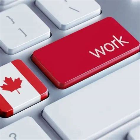 在加拿大留学做兼职要注意哪些问题？_工作_Work-on_campus