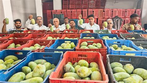 400 maunds of mango income lastly in Dharampur Bamti APMC market ...