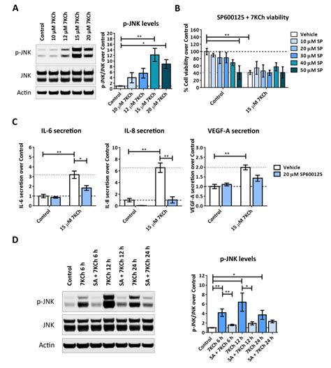 Identification of 7-Ketocholesterol-Modulated Pathways and Sterculic ...