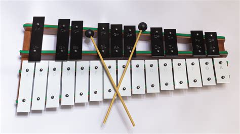 A List of World Musical Instruments That Every Family Should Own