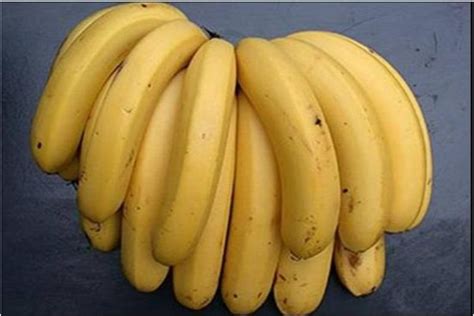 世界上最大的香蕉 巨大的香蕉令人十分恐怖相当震惊_探秘志