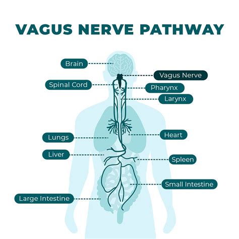 is four exercises enough