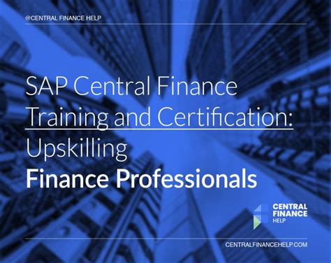 SAP Finance Training 的图像结果