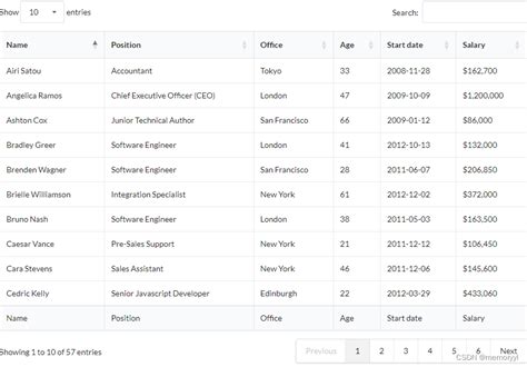 DataTable CSS 的图像结果