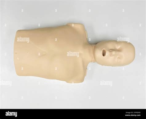 CPR dummy on white background for first aid and cardiopulmonary ...