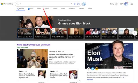Bing Image Search 的图像结果