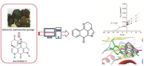 Structural Insights into the Marine Alkaloid Discorhabdin G as a ...